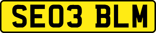 SE03BLM