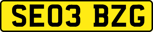 SE03BZG