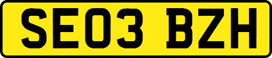 SE03BZH