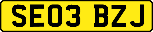 SE03BZJ