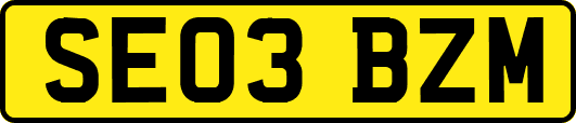 SE03BZM