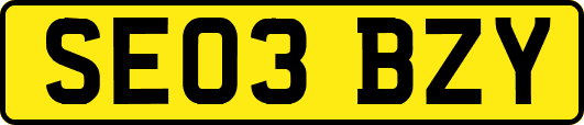 SE03BZY