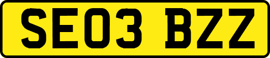 SE03BZZ