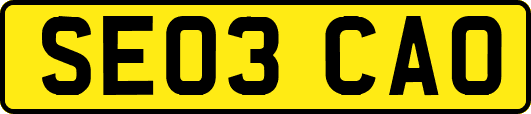 SE03CAO