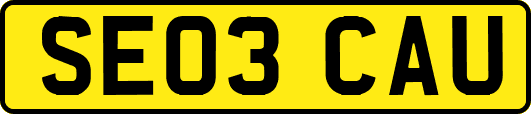SE03CAU