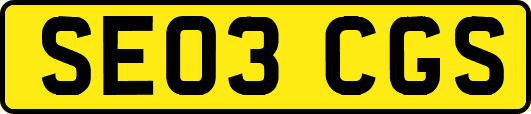 SE03CGS