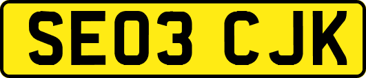 SE03CJK
