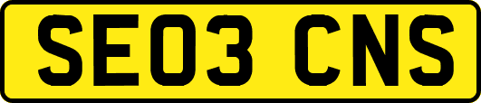 SE03CNS