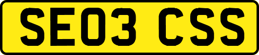 SE03CSS