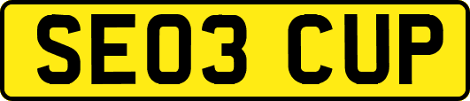 SE03CUP