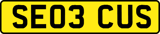 SE03CUS