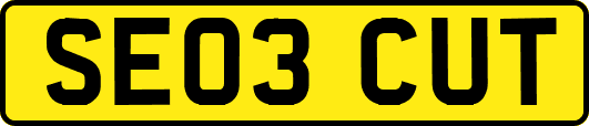 SE03CUT