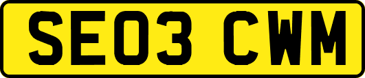 SE03CWM