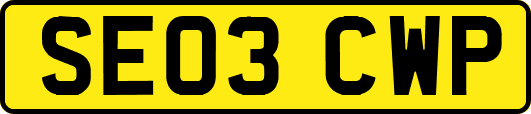 SE03CWP