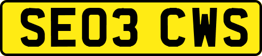 SE03CWS