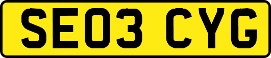 SE03CYG