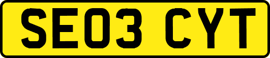 SE03CYT