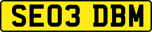 SE03DBM