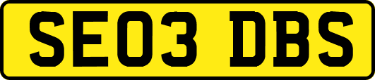 SE03DBS