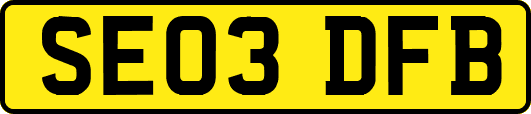 SE03DFB