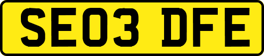SE03DFE