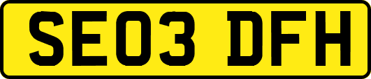SE03DFH