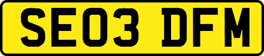 SE03DFM