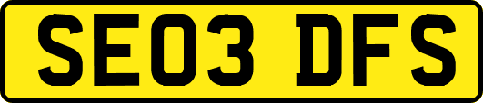 SE03DFS