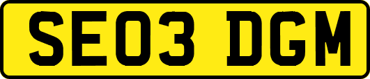 SE03DGM
