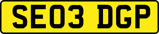 SE03DGP