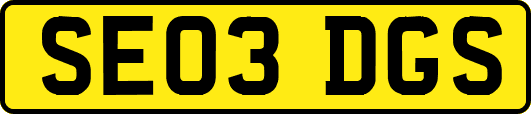 SE03DGS