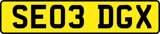 SE03DGX