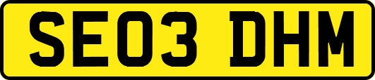 SE03DHM