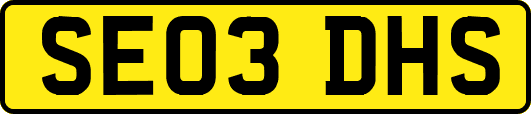 SE03DHS
