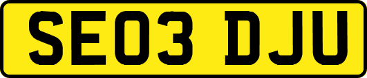 SE03DJU