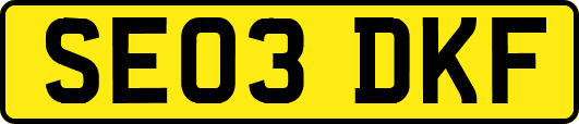 SE03DKF