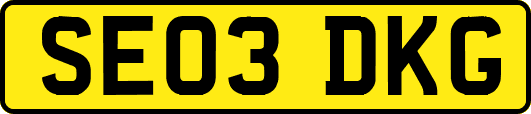 SE03DKG