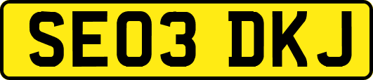 SE03DKJ