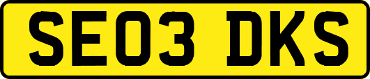 SE03DKS