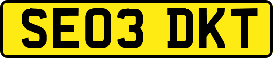 SE03DKT