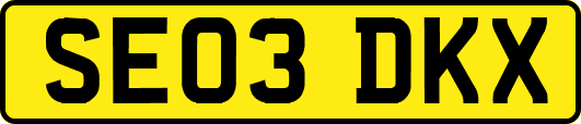 SE03DKX