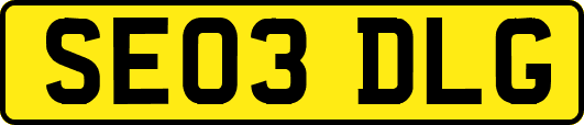 SE03DLG