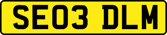SE03DLM