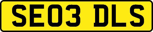 SE03DLS