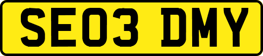 SE03DMY
