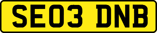SE03DNB