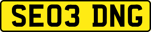 SE03DNG