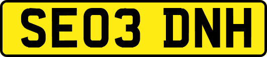SE03DNH