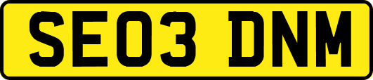 SE03DNM