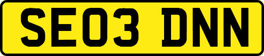 SE03DNN